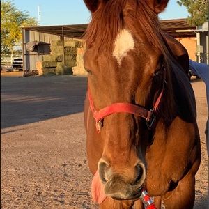 Meet your Posher, Marissa